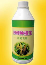廣州以諾生物科技推出‘em種植寶’水稻專用產品，助力綠色農業發展